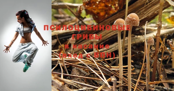 дмт Карталы