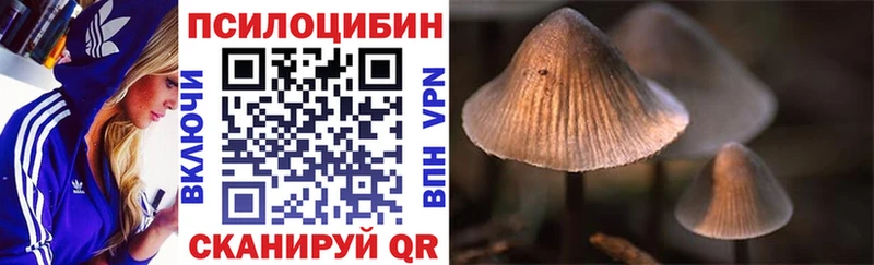Галлюциногенные грибы MAGIC MUSHROOMS  Нестеров 